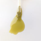 Moringa Leaf + Seed Whole-Plant Nutrition Oil –  Face & Body Oil for Damage Sensitive, Skin Repair 2oz-1