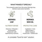 Moringa Leaf + Seed Whole-Plant Nutrition Oil –  Face & Body Oil for Damage Sensitive, Skin Repair 2oz-3