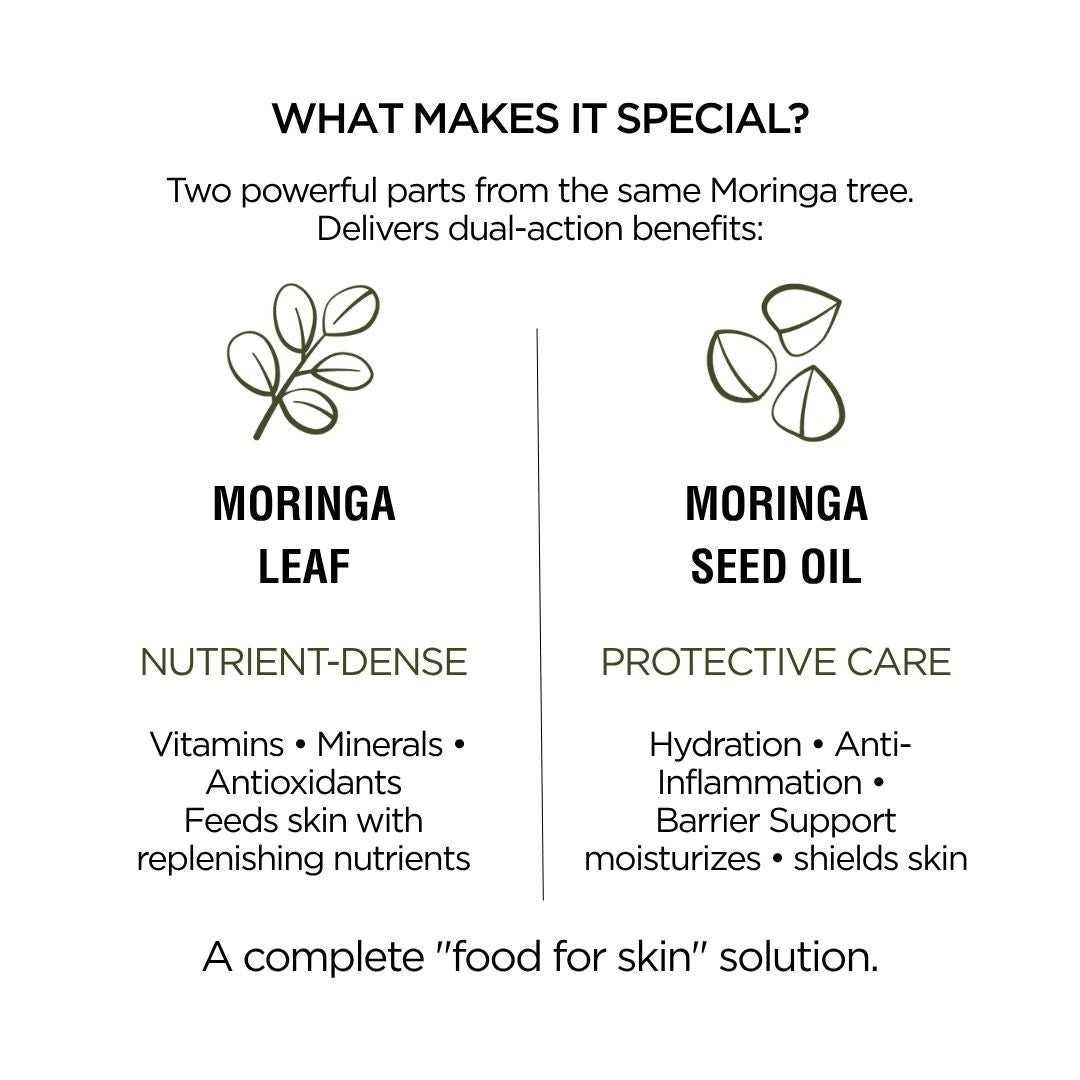 Moringa Leaf + Seed Whole-Plant Nutrition Oil –  Face & Body Oil for Damage Sensitive, Skin Repair 2oz-3